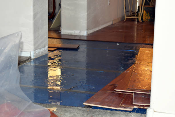 Professional Sewage Cleanup technician working in Urbana, IA